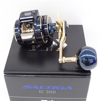 ２１ソルティガＩＣ３００